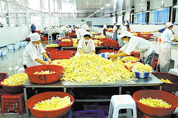 河南鄭州一食品加工廠(chǎng)用1噸燃?xì)庹羝仩t